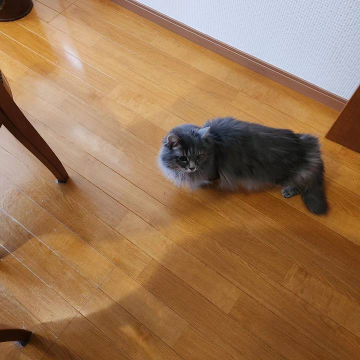 Bd5c3835 2324 428e a0ea f69b245c87c9 1706615781725