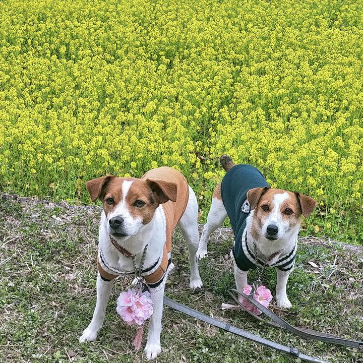 Bd5ce7bf 694d 4242 a4b2 f33079f6f4a0 1773657213136