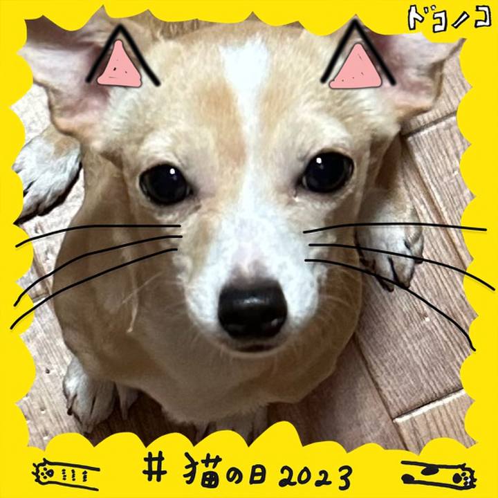 Bd5cf6ff bf55 4525 bb5b aad567e6275f 1677038110879