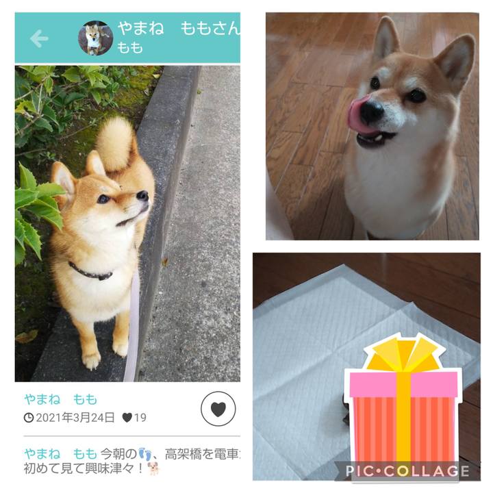 Bd5d3e68 3869 4748 abc9 94a3d15a6c5a 1729032894893