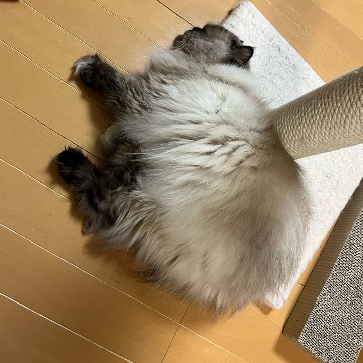 Bd5d7166 0052 4360 a7a7 4e1680ecdd27 1723811599150