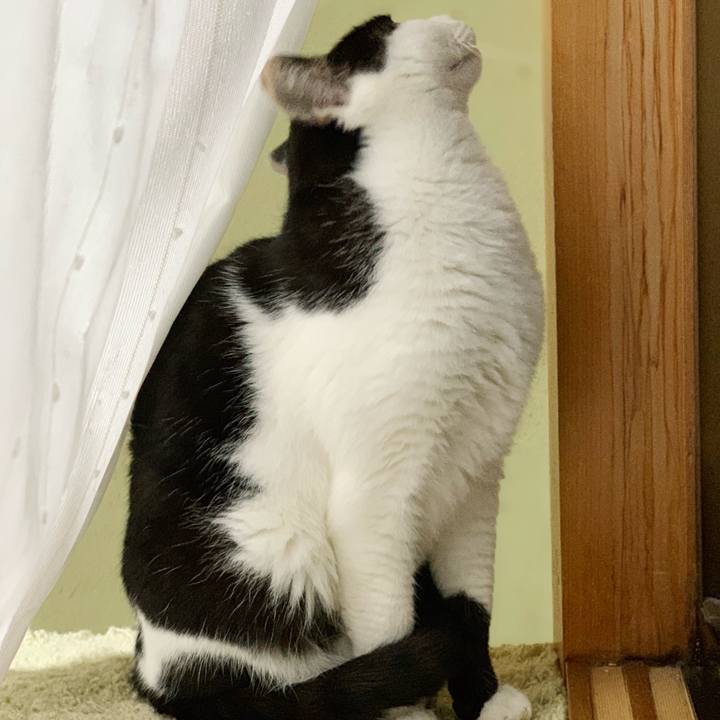 Bd5d753d 9613 4b30 98fc 1c71a8f4f379 1545185226113