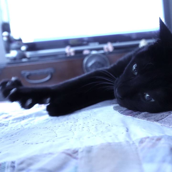 Bd5dc0dd b6a6 4a3f 835c f134d521345d 1517289606722