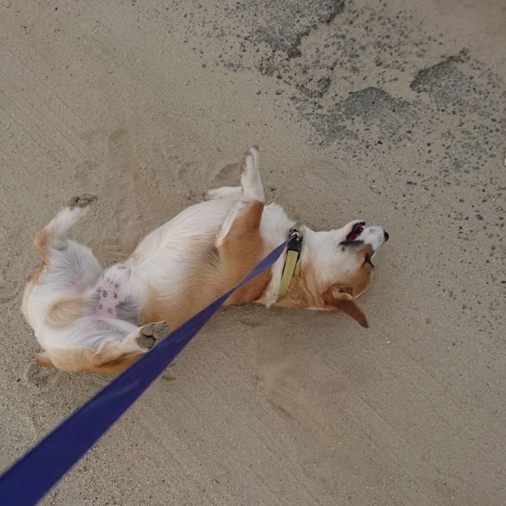 Bd5dc4d9 1c45 42a1 b74c 8aa07f6b1e39 1576711867475