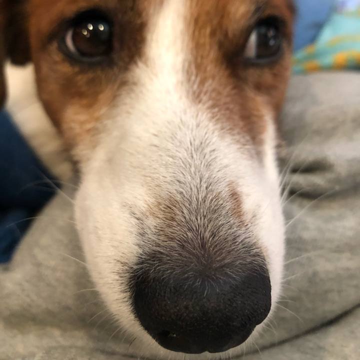 Bd5e09d3 7f8a 49c9 a8fd de746c66325d 1553179780104