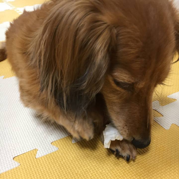 Bd5e3bdd c430 49fa 9eaa ec23f97ec3f0 1564407070284