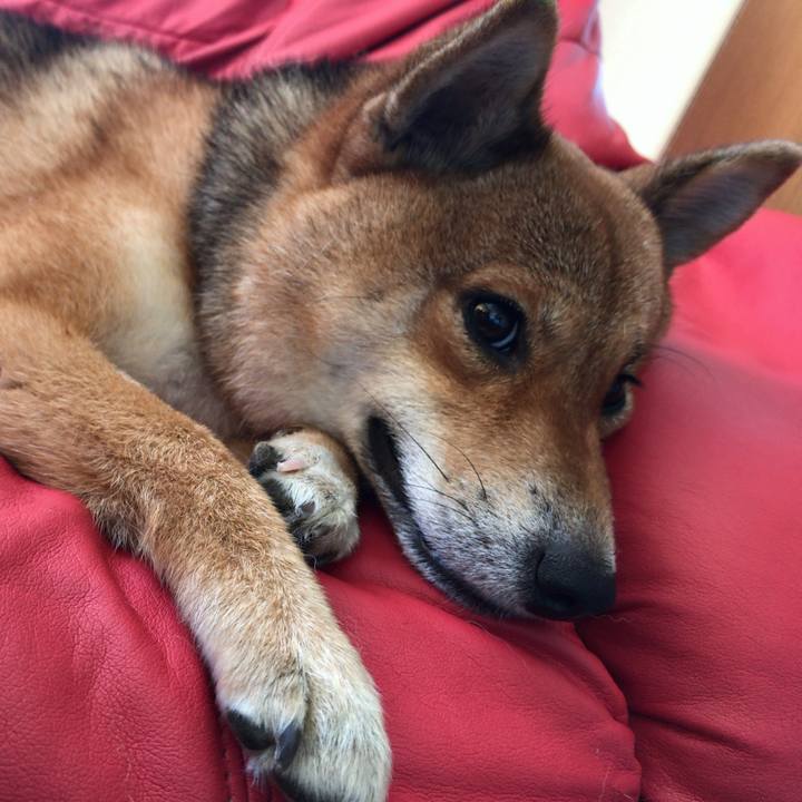 Bd5e4d9f 977c 475f 8f9a c8f969fb635f 1532835416941