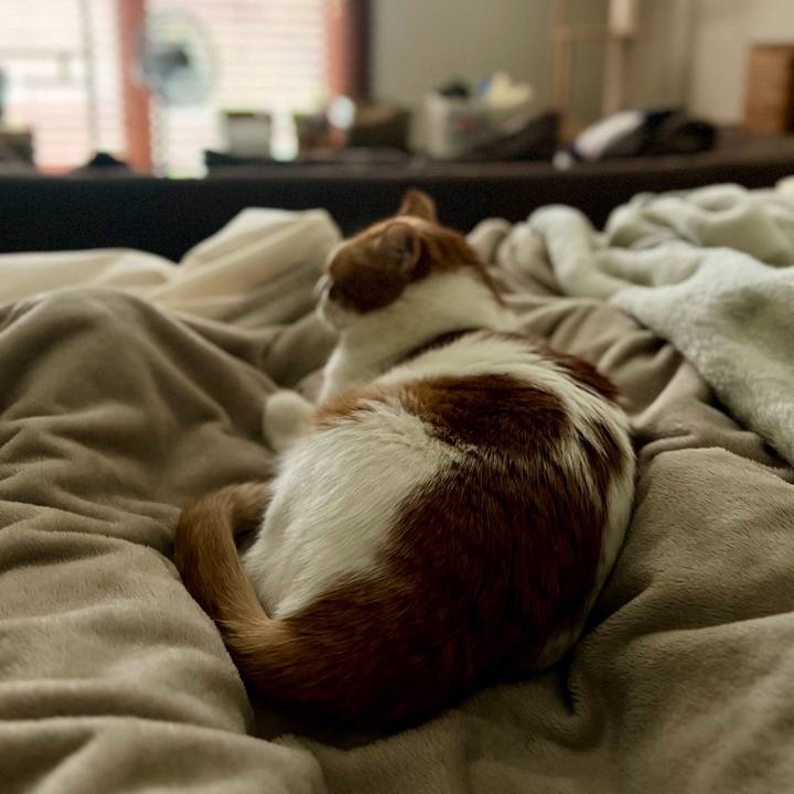 Bd5e6a7e 2f1a 46c6 bfd1 3afcd7243136 1761262070914