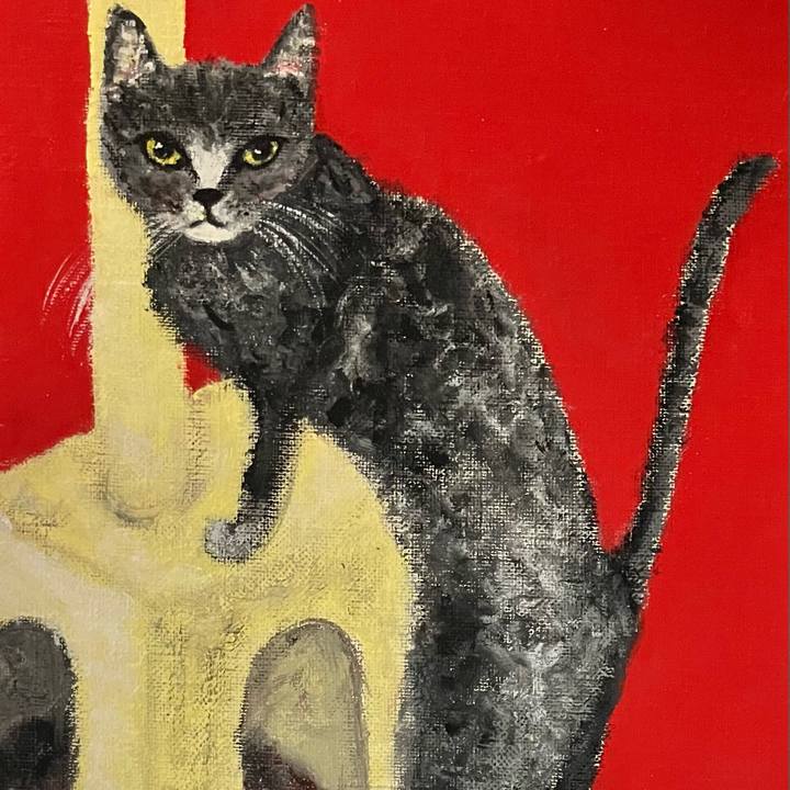 Bd5e90ff d89c 4b78 bb9a b77acd551caa 1707569388925