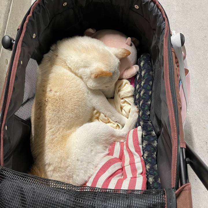 Bd5ebc1b 5148 4cff 9ebb 37300cf5f618 1651329991109