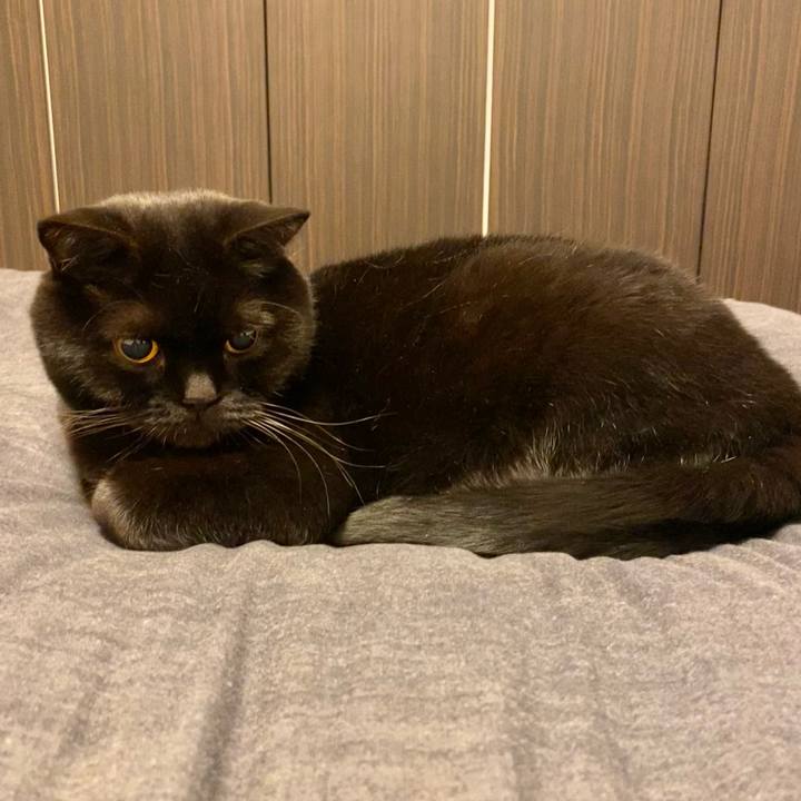 Bd5ebc3d 32ae 41e4 98c3 fc85c2c92a3e 1742645757211