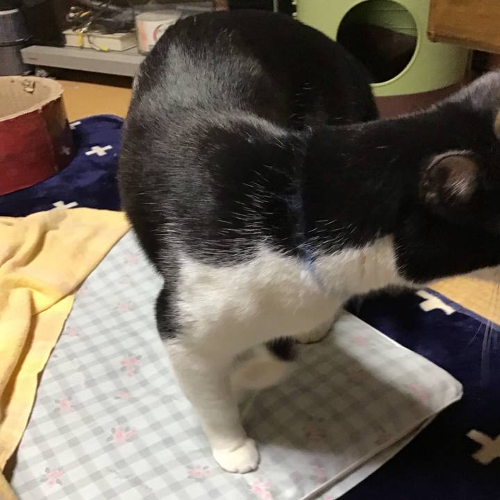 Bd5ee291 7893 4e98 aead b1055783df99 1706865928108