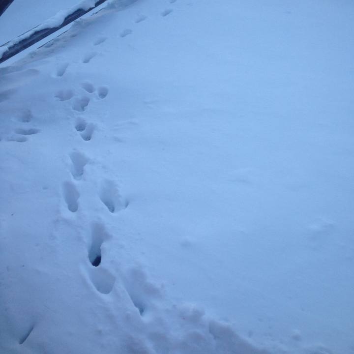 Bd5f2939 972a 47c7 bf9a d5603cdb8754 1517570891490