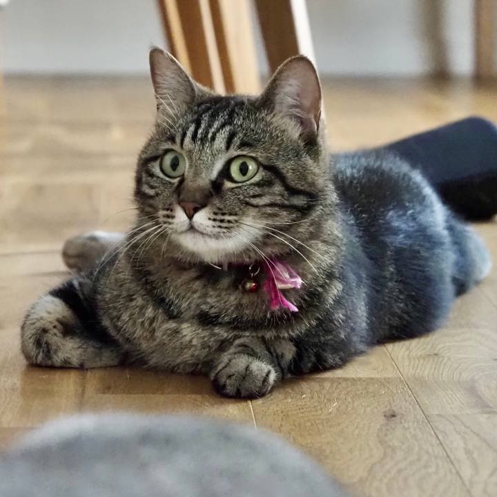 Bd5f2b5a a861 4cb6 a8c1 22f33513bf04 1625024696845