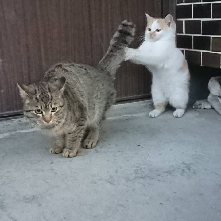 Bd5f524a 37fb 41e8 8001 4fe090fb349b 1548629079696