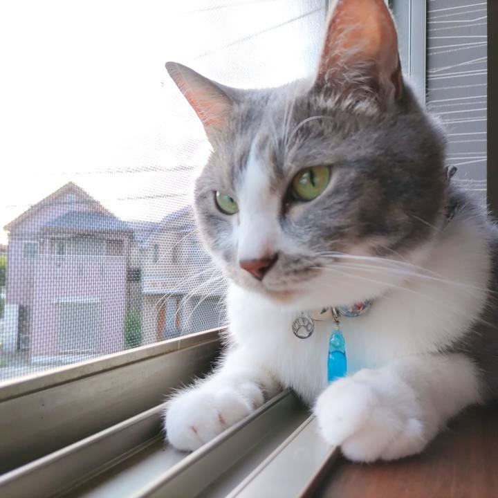 Bd5fb5b7 25ec 4abd 982c 6cd59a4ae02b 1688508523131