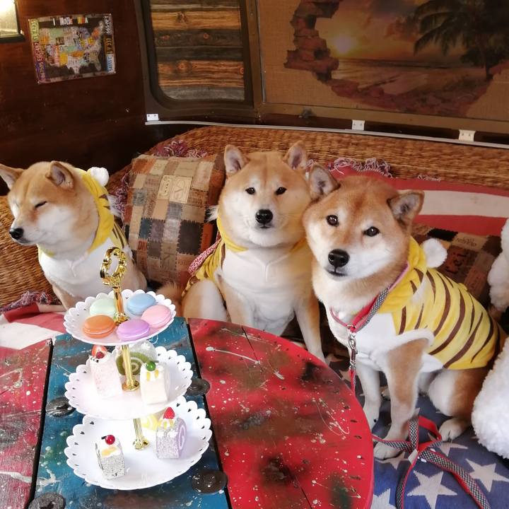 Bd5fcd7a 84a5 4dd4 b354 32545487d79b 1641805249281