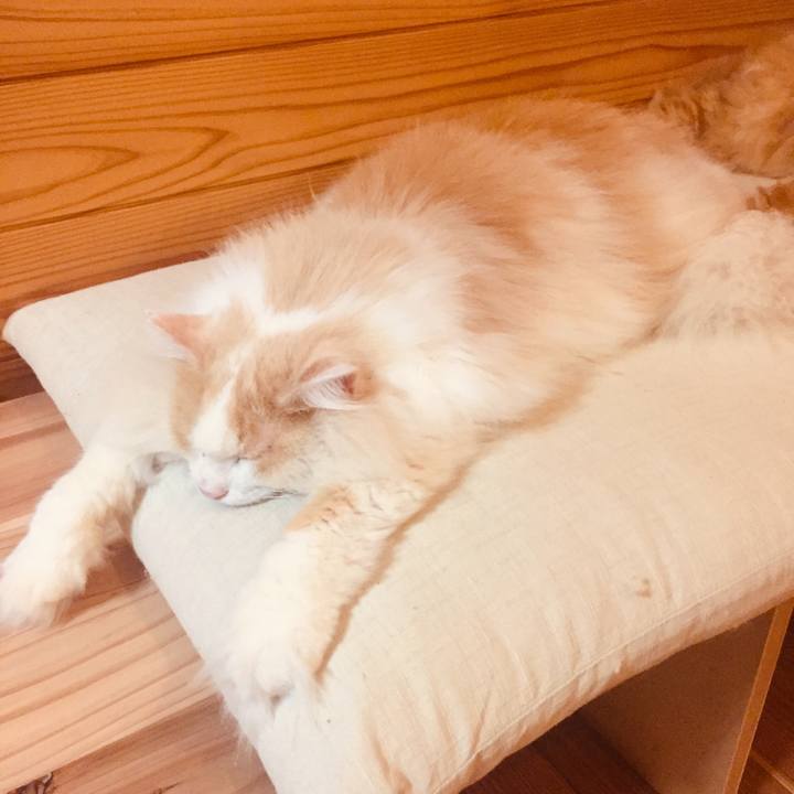 Bd6043e7 ca8c 4fbc a208 ef2bbd3db2e6 1600815113356