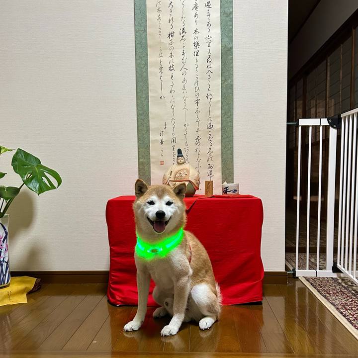 Bd606658 e0ec 4d1c 8918 17c78e09c825 1720434654464