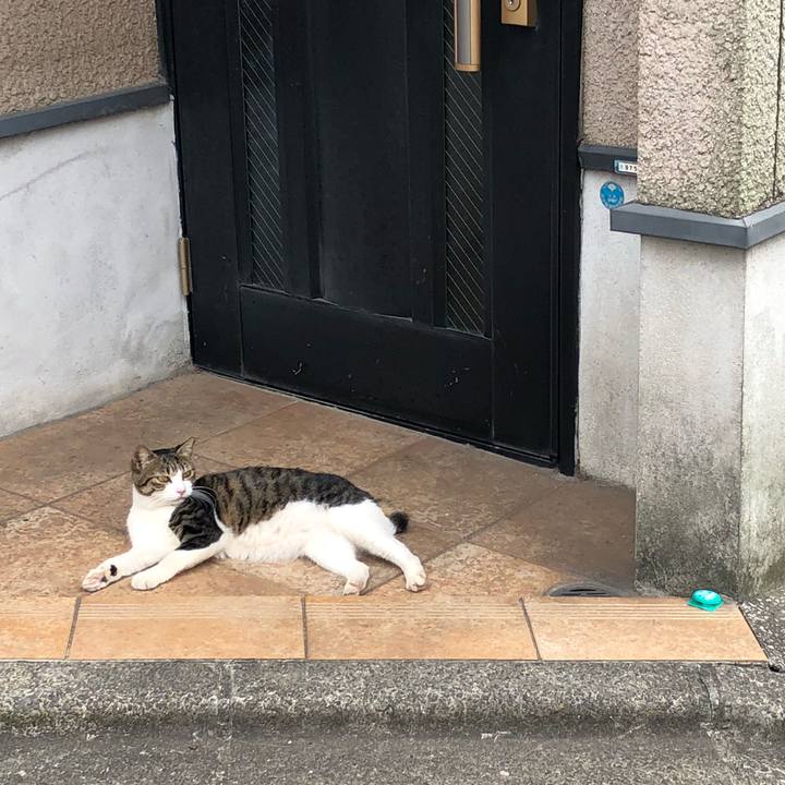 Bd60ab06 9eb3 4973 8fc4 d408bd8b680e 1536655365684