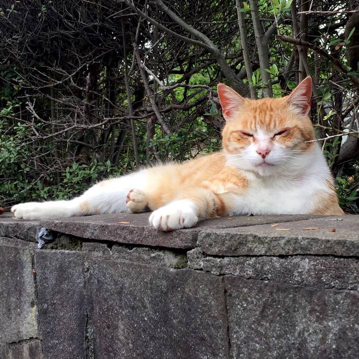 Bd60bb02 a066 4755 86ed f07e74cf1368 1556776462975