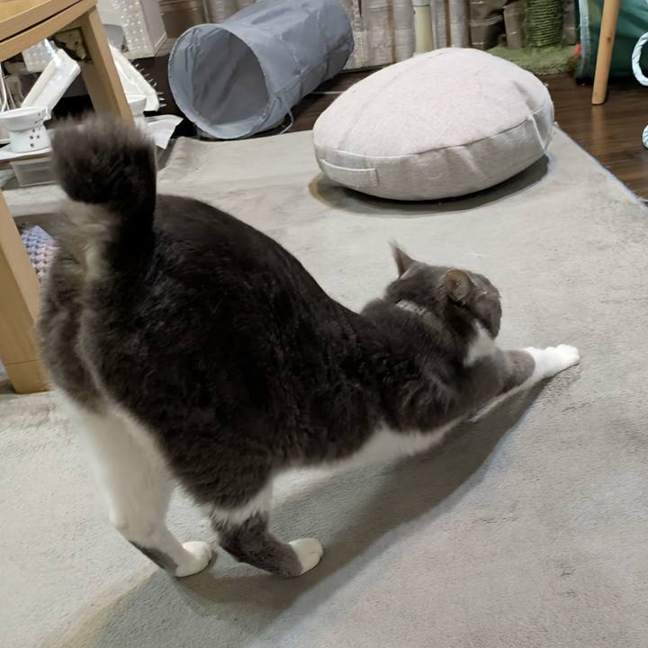 Bd60e3ea 0b7f 47a4 a913 6aae29dc756a 1756295128693