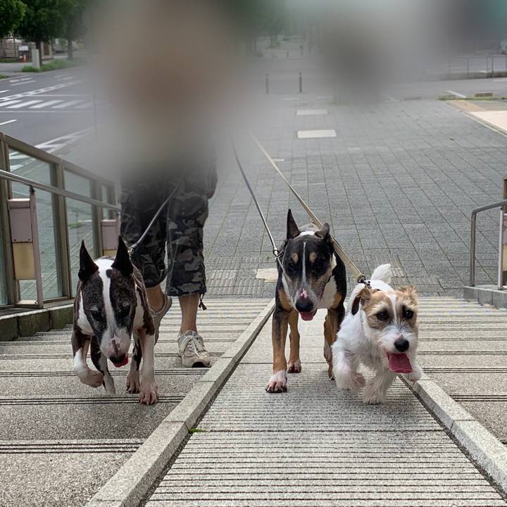 Bd6153c6 364f 4815 b855 b10a73aa0e10 1594462436583