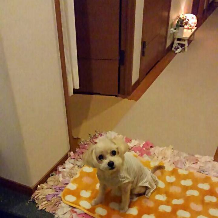 Bd616f9f 39ed 48c3 aed1 74f83a8b8426 1539346756993