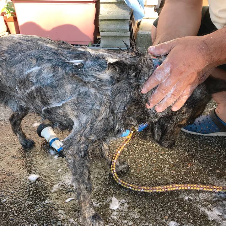 Bd6222db 3376 4c0f 88de 6a3b4d9cd157 1531045273736