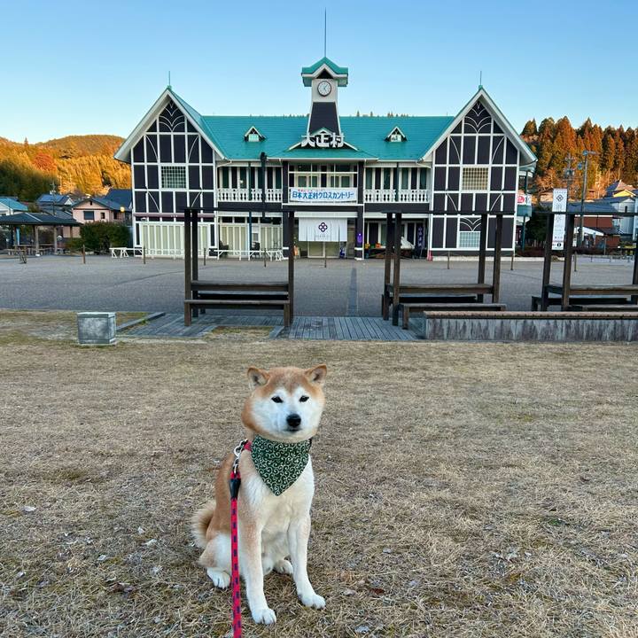 Bd622d06 88cc 4f44 9295 426b7c7d91a8 1707738666672