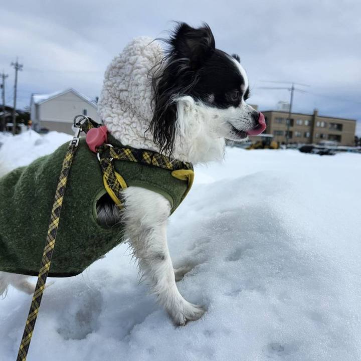 Bd626445 c51a 4e1d be2a 98f5f57b2061 1770851990653