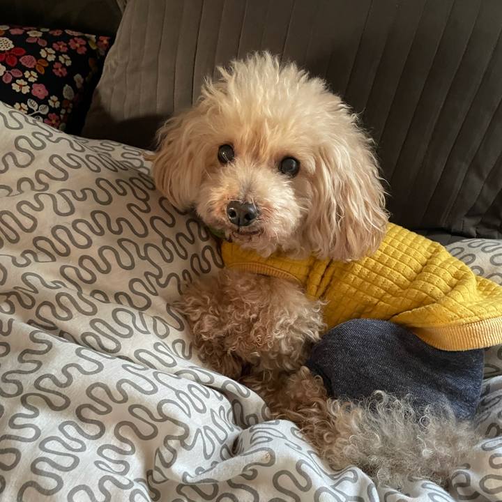 Bd6277af e7cb 4789 b60b d416b38cf6af 1636324855976