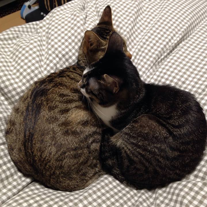 Bd62b5c8 25d4 414b b5f8 80512e6d8405 1510045066983