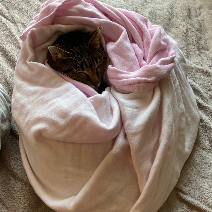 Bd62d12f 60a1 46e5 adf4 12a5a2f5bf2b 1635060015331