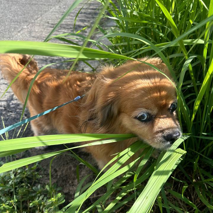 Bd632fa6 f4d5 48ad 9837 ba40320e7b88 1758415210190