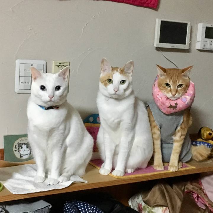 Bd636064 af43 413b 9eeb 8fb20e3d2f49 1527344704154