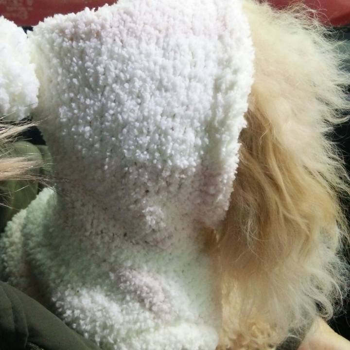 Bd637a54 3baa 4352 8b15 c09c8c848e00 1546084151518