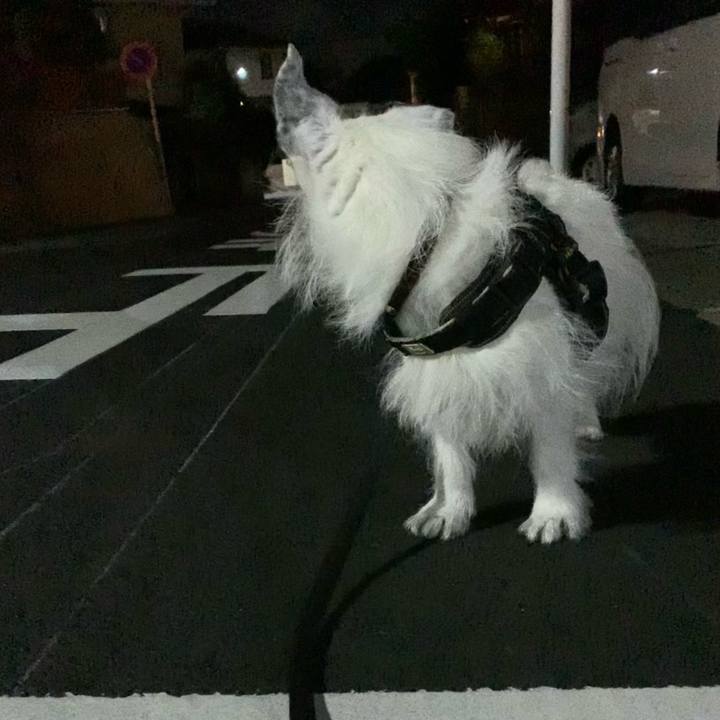 Bd637ee0 a646 4475 868e eb433fa0ed9e 1752845627438