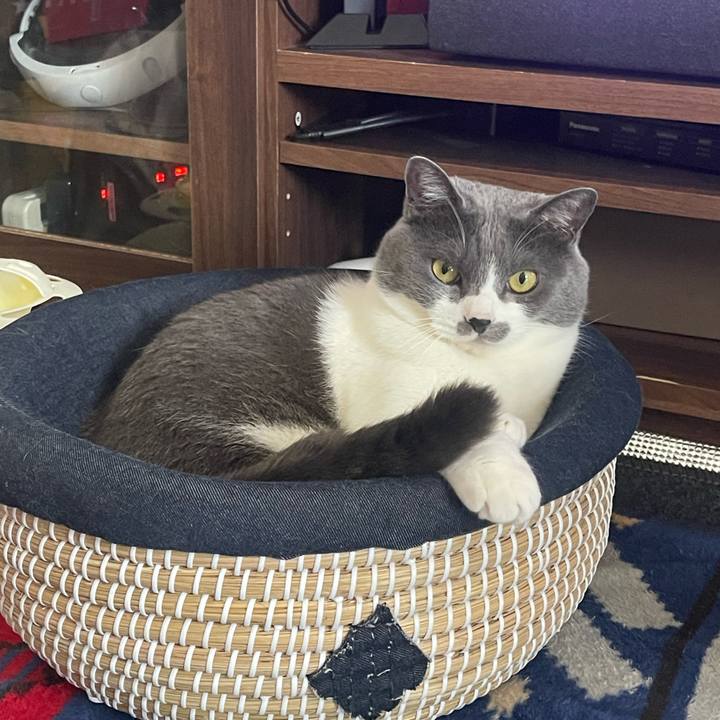 Bd63c12a f1cb 4a17 a288 6bbdbc6e3fde 1684306200871