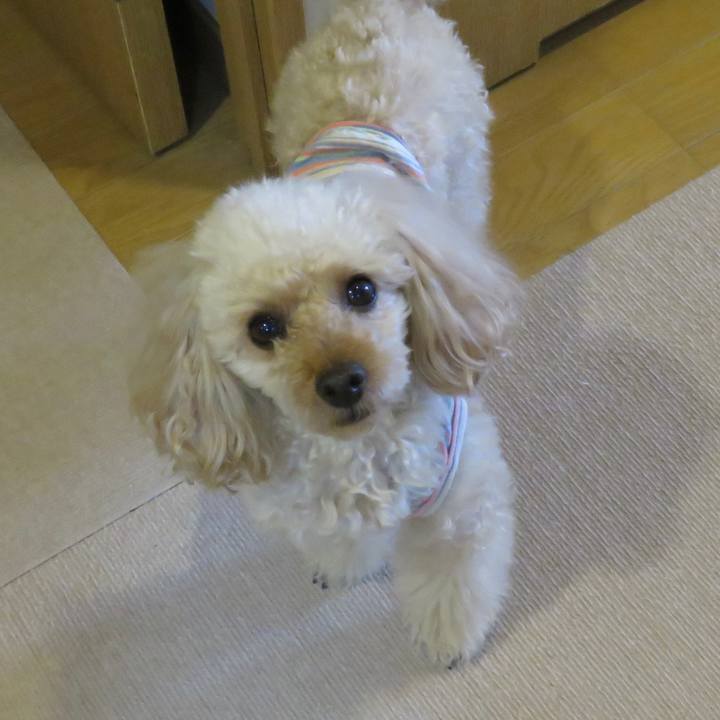 Bd63d283 5a58 45cd b6d5 e7f56e579dcc 1641709033621