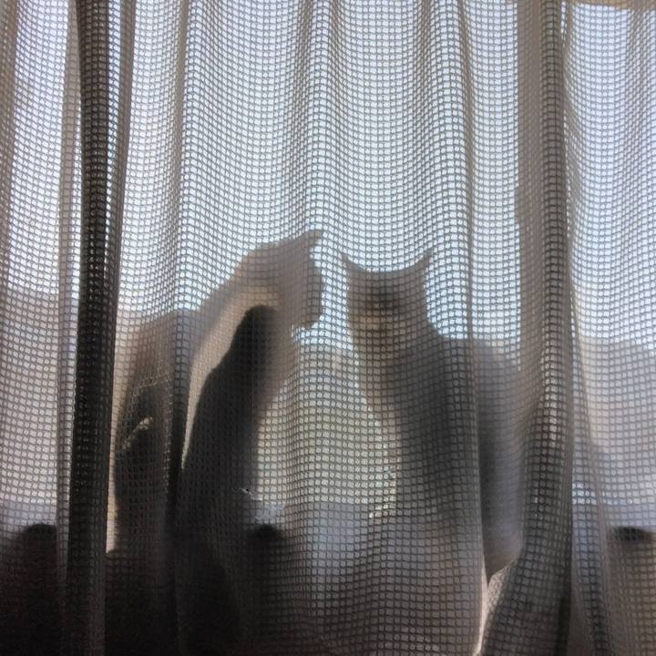 Bd63e2c6 f48a 4ec1 a522 08cf6f07c910 1678423698751