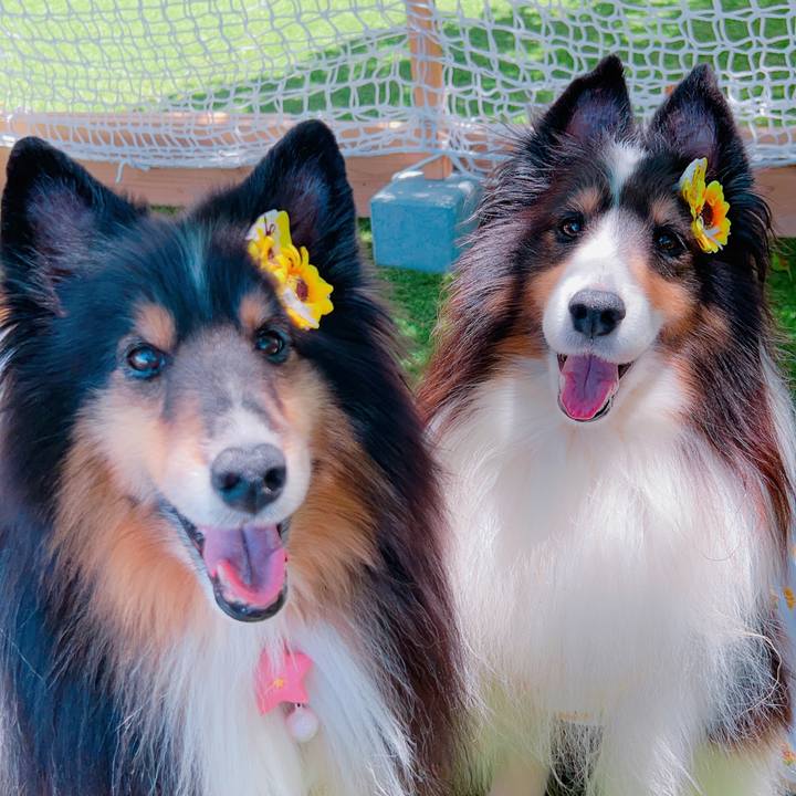 Bd640813 6cdc 49a1 a832 fb4e156269bf 1691257355112