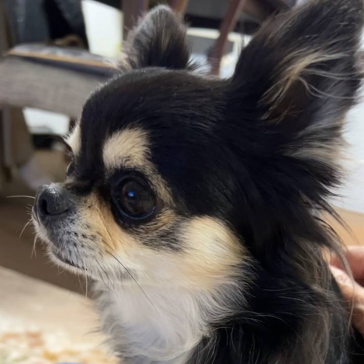 Bd642976 b3c0 4867 9c03 d44ffedd7f47 1704098739817