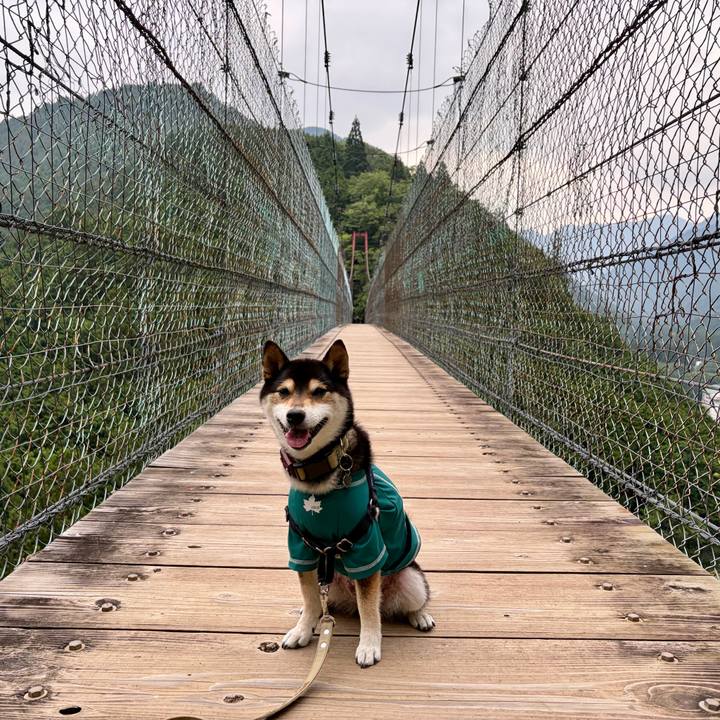 Bd645e3f 73f7 4bf8 aab7 43f9d659513f 1784462425216