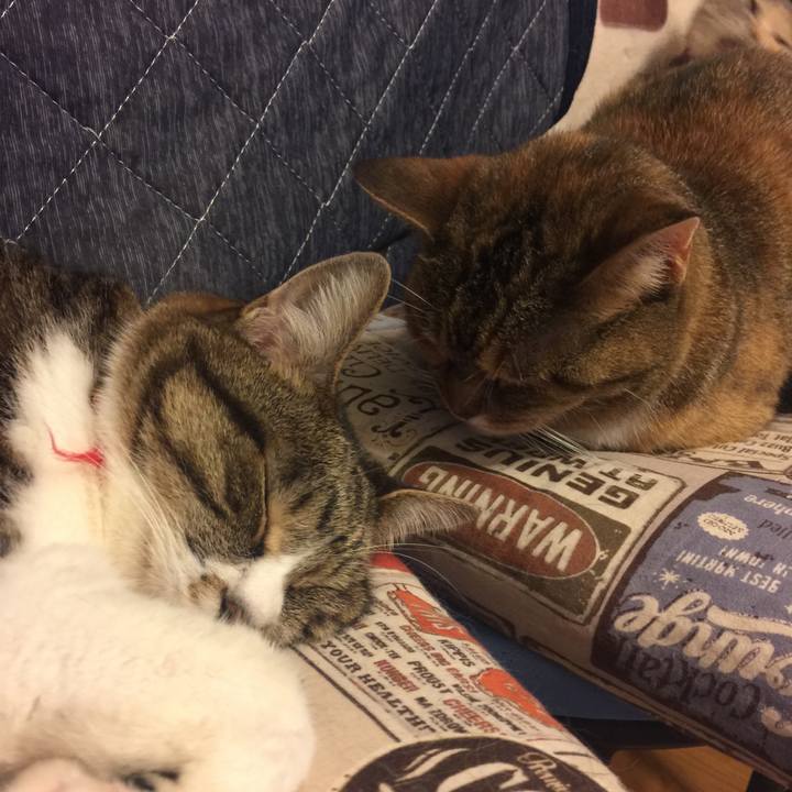 Bd647e5d 79b7 49d3 8b76 623256654552 1562679297789