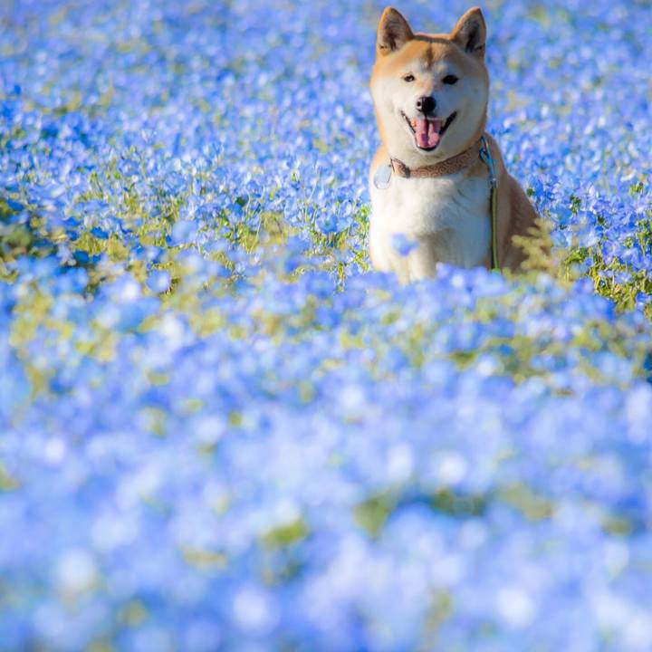 Bd648317 7596 4602 9482 11bf0c472f3a 1524356405646