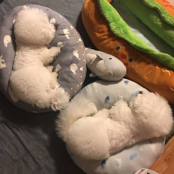 Bd64ac87 389c 4383 bae3 1a19ce9b231b 1590241586033