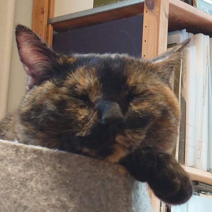 Bd64e10b 7677 4ecd ad95 27f6393548dc 1754799198468