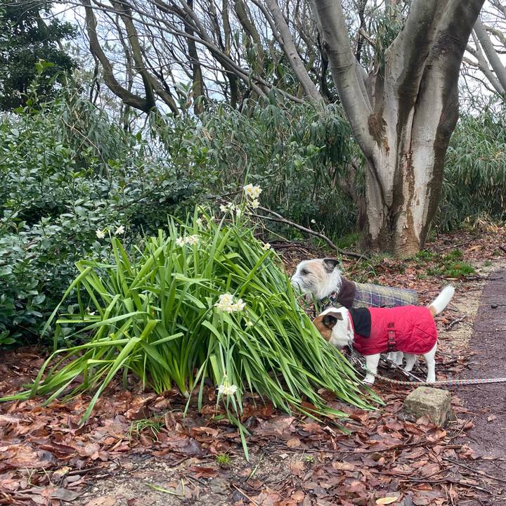 Bd64ea8a 7bd5 42da 81ac e838ef1fbca4 1710027112211