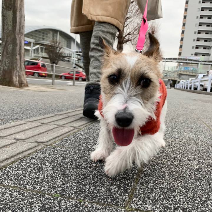 Bd64f6da 3c87 4756 a6f4 4ca0534627c2 1579964744561